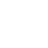 Integer lobortis