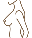 breast