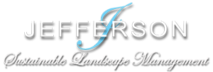 logo=-