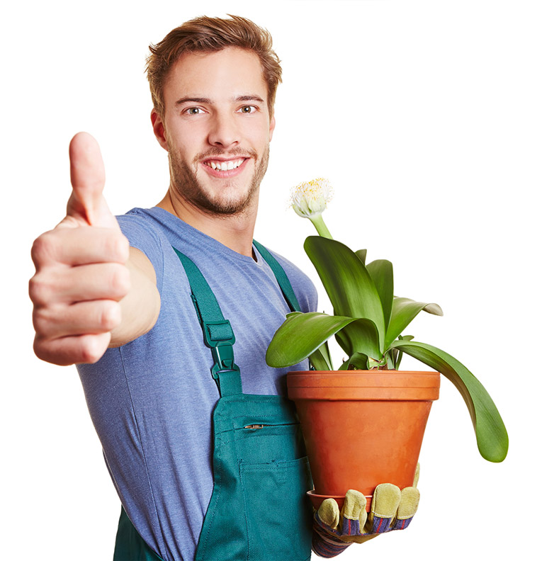 man-with-flower man-with-flower