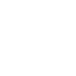 Integer lobortis