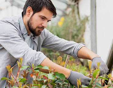 garden-care
