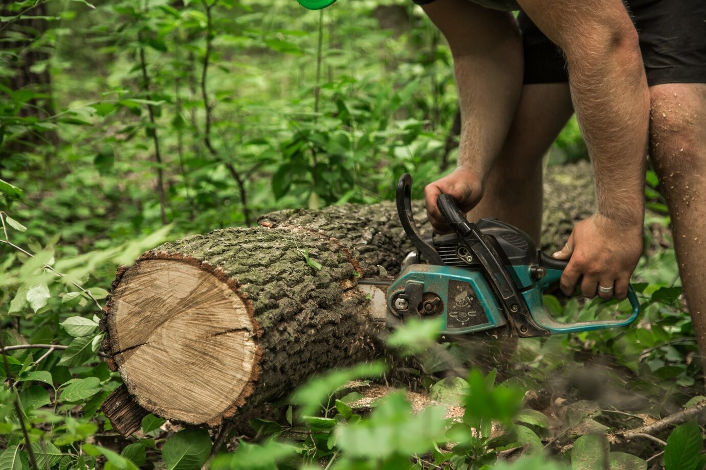 man-cutting man-cutting