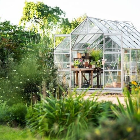 glass-greenhouse_53876-30188